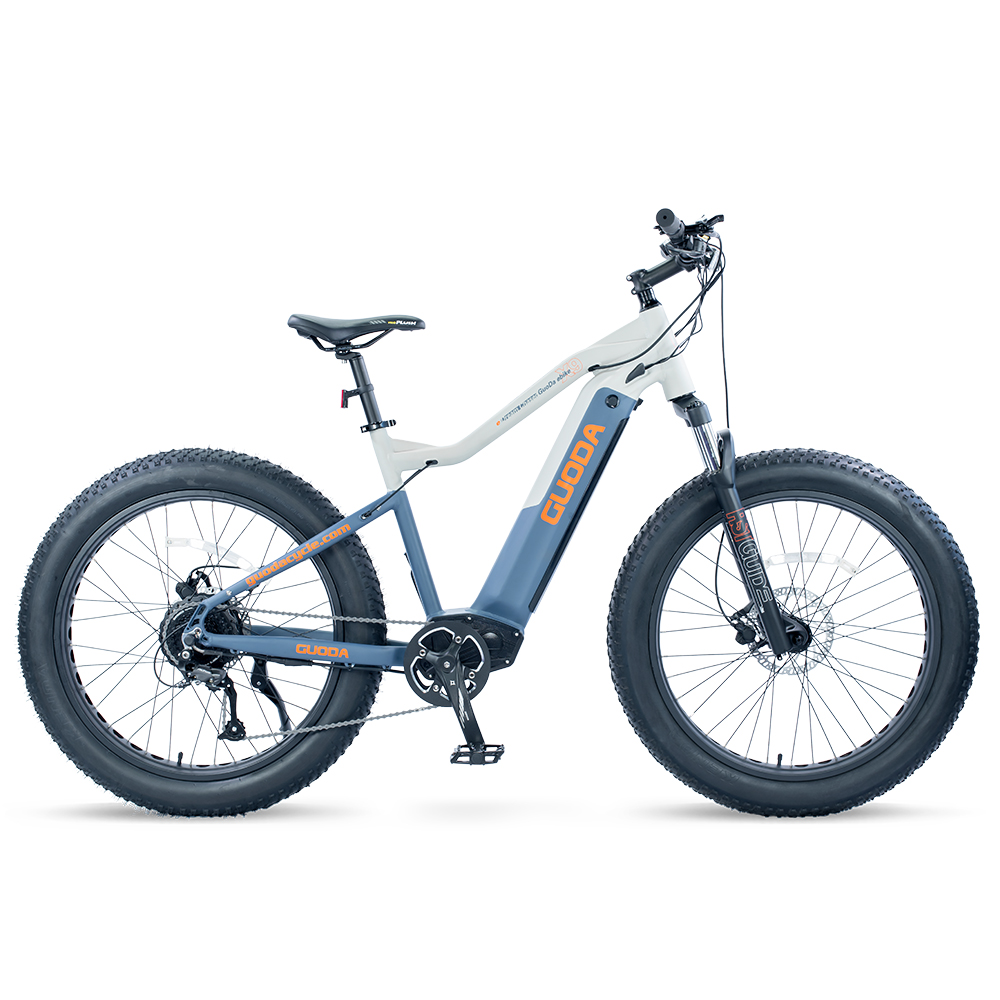 Electric bicycle